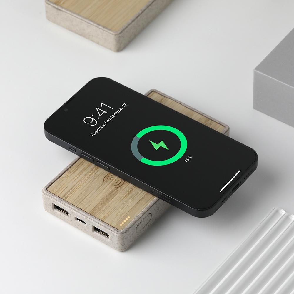 Powerbank 1000 Mah PWK-013